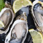 Untitled (500 × 250px) (1200 × 500px)