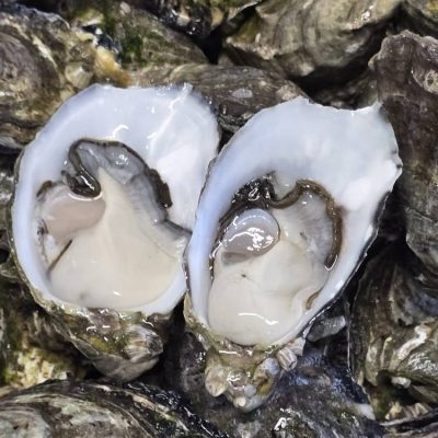 oysters-1